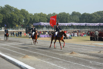 Horse Riding